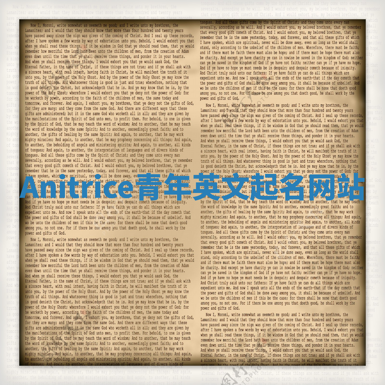 Anitrice青年英文起名网站 Anitrice青年英文起名网站