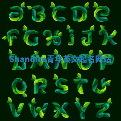 Shandice青年英文起名网站 Shandice青年英文起名网站